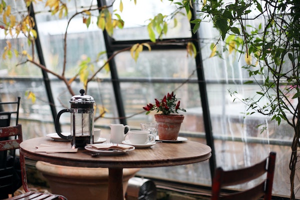 Round wooden table and two chairs at a cafe next to a glass wall. Indoor plants nearby. Coffee cups, plates, planter, french press coffee jar, vegan mylk jug on the table.