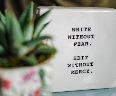Ceramic square with the text "write without fear. edit without mercy." On the left, blurred succulent plant in a small pot closer to the camera. Veganosaurus newsletter page image. Photo by hannah grace on Unsplash.