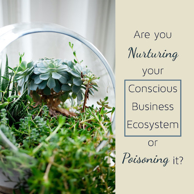 Left Photo: Terrarium in a glass bowl. Right Text: Are you Nurturing your conscious business eco system or Poisoning it?