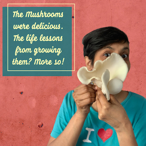 Top Left Text: The Mushrooms we’re delicious. The life lessons from growing them? More so! Right Photo: Short haired Indian girl, holding up a large oyster mushroom in front of face and peeking out from behind it.