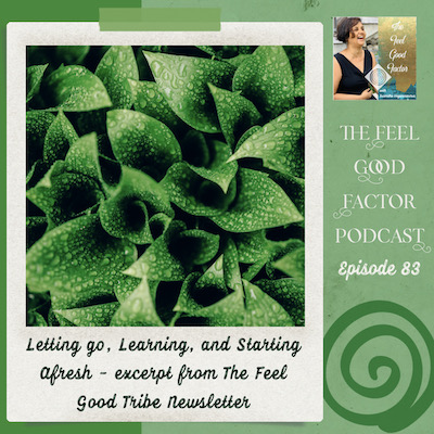Photo: Top view, close up of green plants with dewdrops on them. Text: The Feel Good Factor Podcast, episode 83. Letting go, Learning, and Starting Afresh – excerpt from The Feel Good Tribe Newsletter