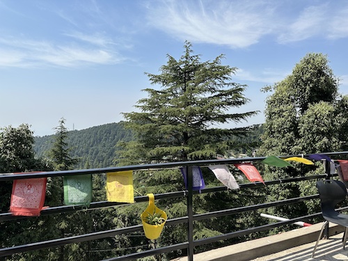 Sky, trees, railings with Buddhist Flags. Solo travel at The Unmad, Dharamkot, Dharamshala.