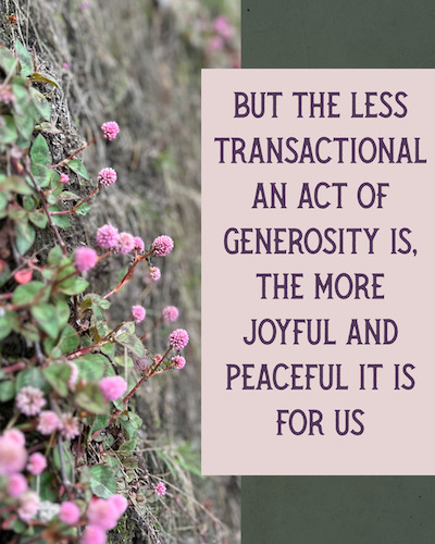Close up of pink wild flowers on a hillside. Text: But the less transactional an act of generosity is, the more joyful and peaceful it is for us.