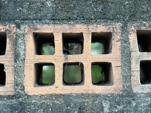 Garden wall with six small, square windows to look through at the trees on the other side. There are more ways than one, more options, more paths.