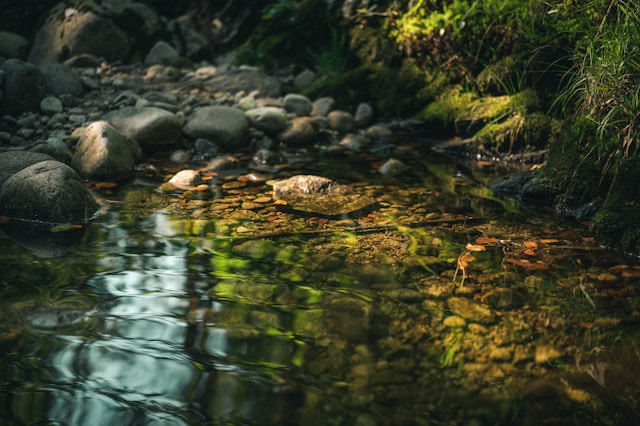 Close up of gentle rippling water, surrounded by earth, grass, rocks, and greenery. Setting for a grounding meditation.