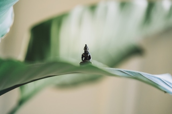 Tiny Buddha figurine on a leaf.