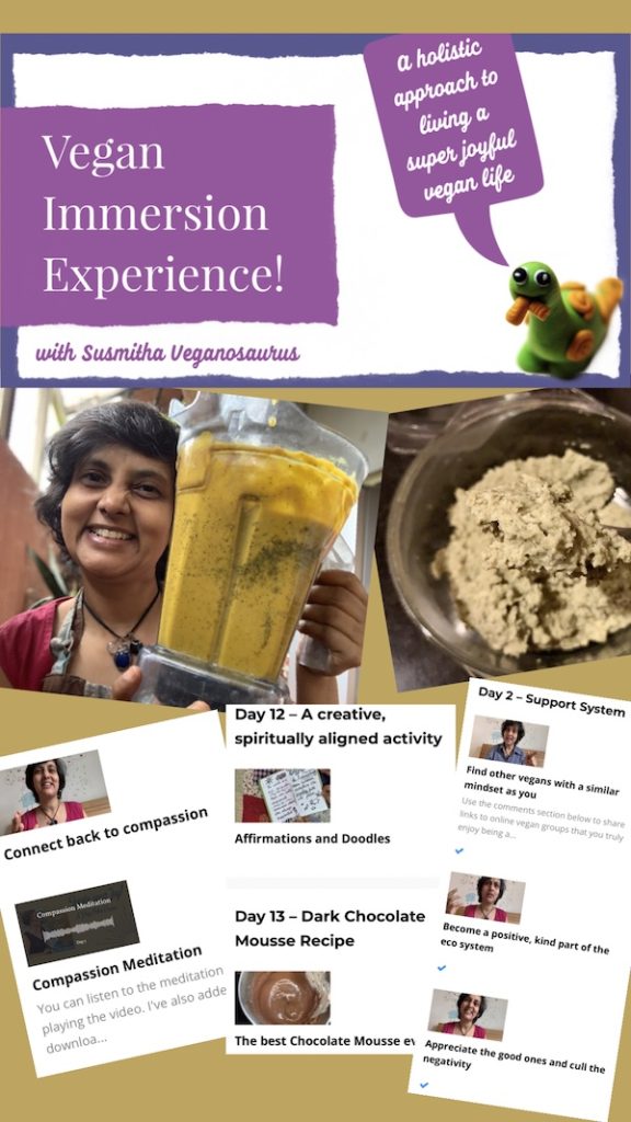 Promo image of my signature, deep dive course – Vegan Immersion Experience. Learn how to live a happy, joyful vegan life.