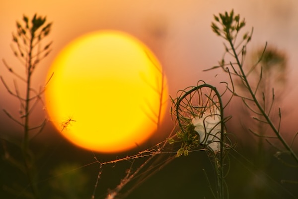 Glowing ball of golden light.