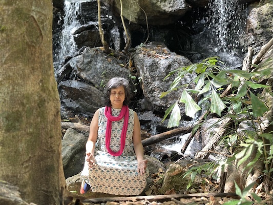 Susmitha Veganosaurus meditating in a woodland near a waterfall.